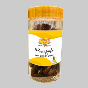 Dry Cone Jar Pineapple